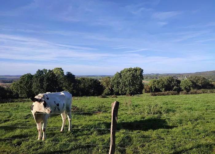 La Balade Des Gnomes * Durbuy